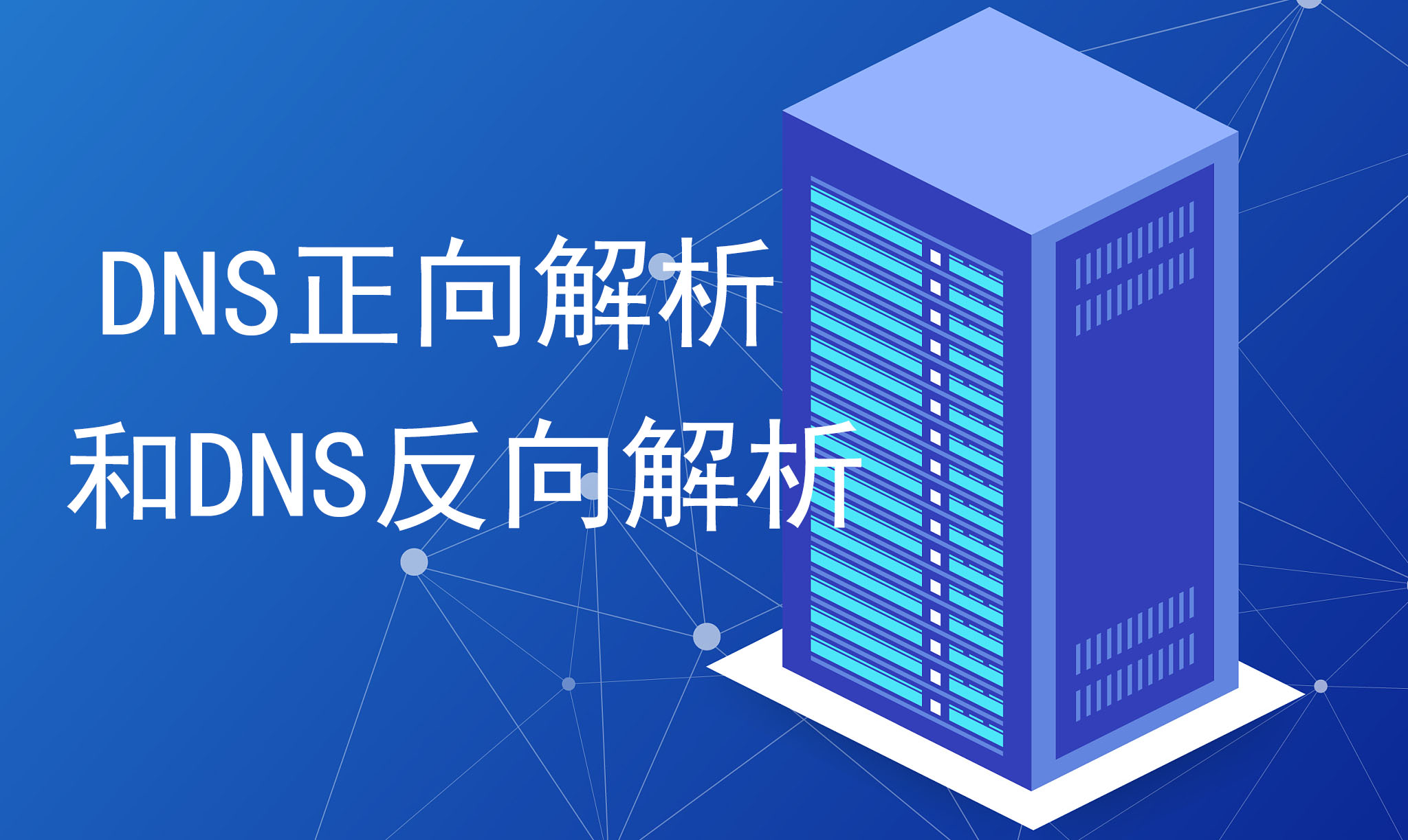 DNS正向解析,DNS反向解析