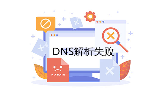 DNS解析失败